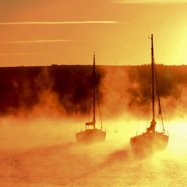 Elvia Worrall | Misty Morning Mylor