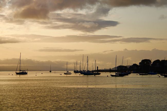 Elvia Worrall | Sepia Sea
