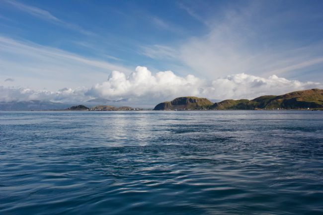 Elvia Worrall | Easdale Island
