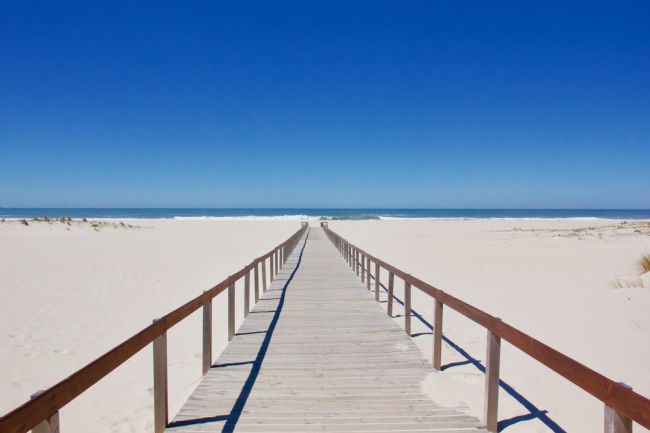 Elvia Worrall | Beach Infinity