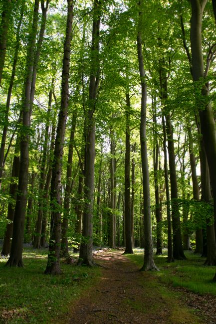 Warren Byrne | Lead the Way