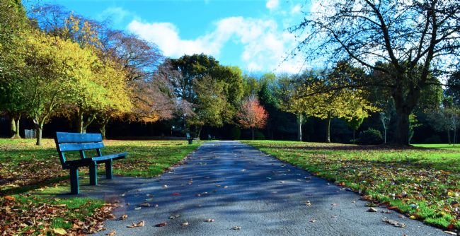 Warren Byrne | A Park in Autumn