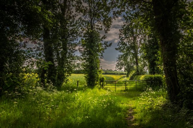 Warren Byrne | Fazeley Fields 2