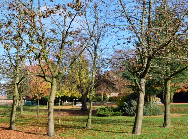 Warren Byrne | Autumn in Queens Park, Birmingham.