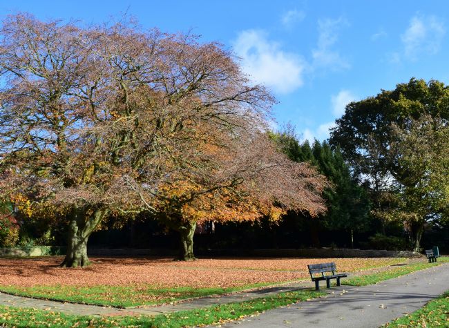 Warren Byrne | Autumn in Queens Park