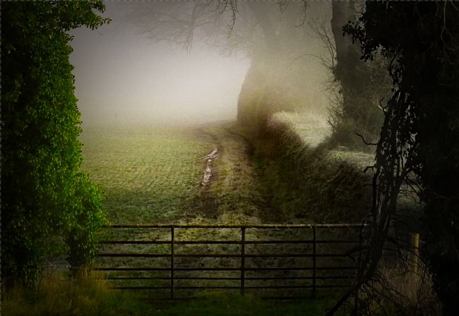 Warren Byrne | Gated Access