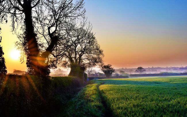 Warren Byrne | Dawn Over Fazeley Fields