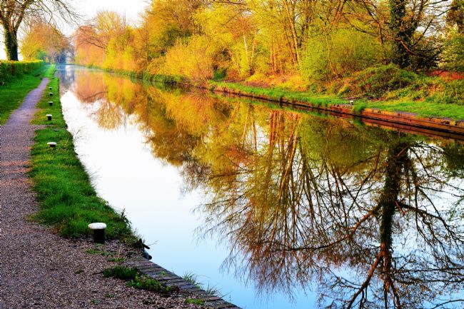 Warren Byrne | Morning in Fazeley 2