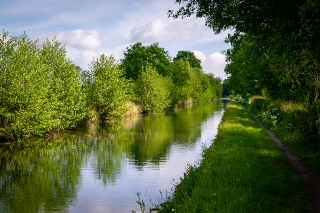 Warren Byrne | Fazeley/Birmingham Canal Side