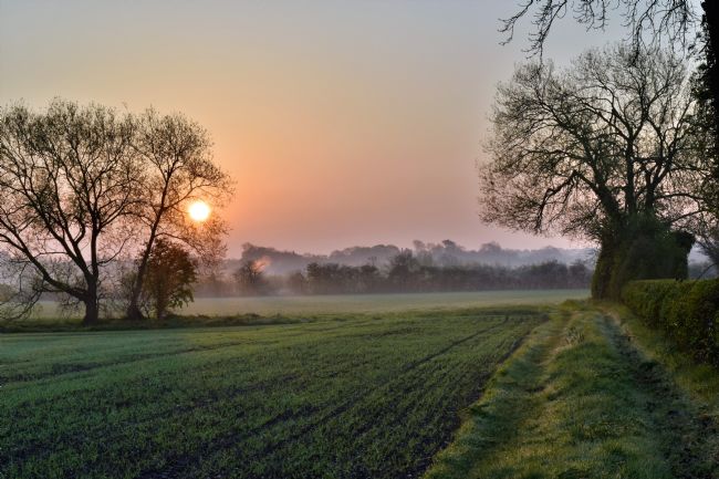Warren Byrne | Fazeley Fields 1