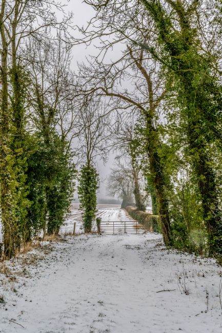 Warren Byrne | Fazeley Fields  in the Snow