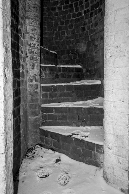 Warren Byrne | Fazeley Canal Side in the Snow 4