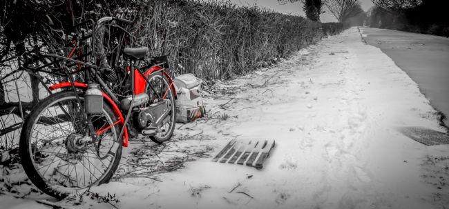 Warren Byrne | Fazeley Canal Side in the Snow 7