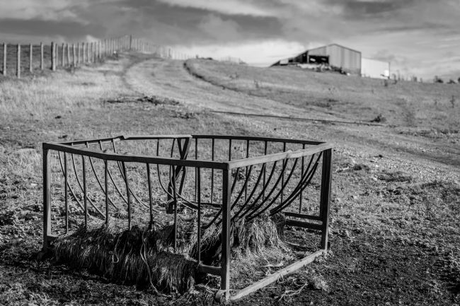 Warren Byrne | Aber Farm Shed