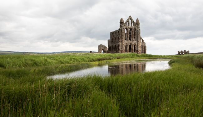 Jon  Jones | Whitby Abbey